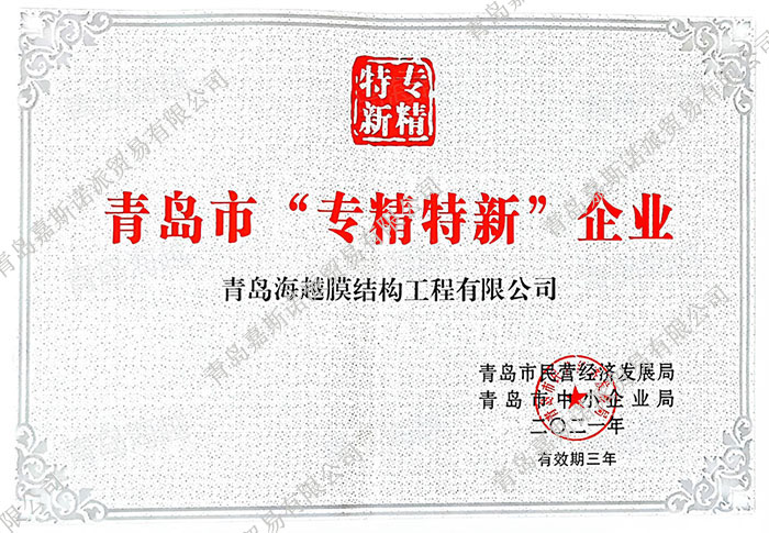 专精特新(1)