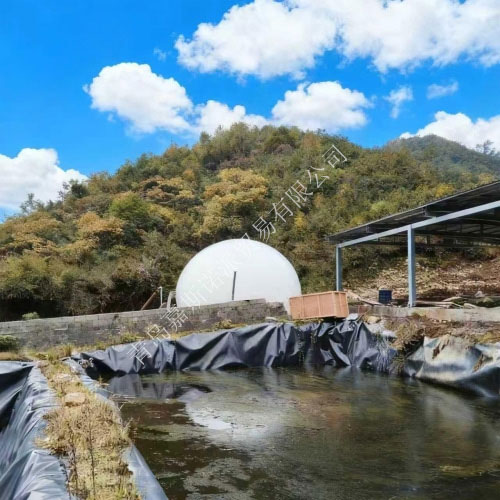 粪污处理沼气柜-(2)