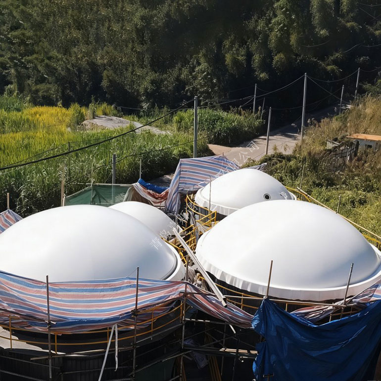 养猪场小型罐顶一体化气柜